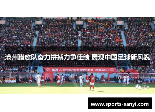 沧州猎鹰队奋力拼搏力争佳绩 展现中国足球新风貌