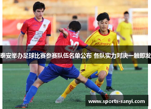 泰安举办足球比赛参赛队伍名单公布 各队实力对决一触即发